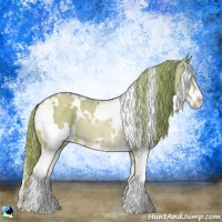 Horse Color:Watercolor White Spotted Gold Champagne Sabino Rabicano 