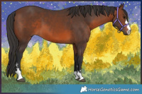 Horse Color:Brown 