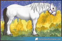 Horse Color:White Spotted Brown Frame Varnish Rabicano 