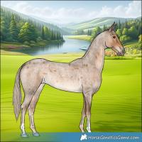 Horse Color:Chocolate Palomino Roan 