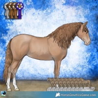 Horse Color:Black Pearl 