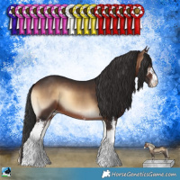 Horse Color:Brown Onyx Sabino