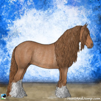 Horse Color:Chestnut Rabicano 