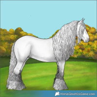 Horse Color:Gray White Spotted Liver Red Roan
