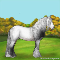 Horse Color:Gray White Spotted Brown Tobiano Varnish 