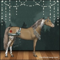 Horse Color:White Spotted Chocolate Palomino Dun Rabicano 