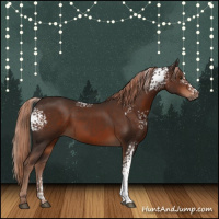 Horse Color:White Spotted Liver Chestnut Rabicano 