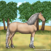 Horse Color:Silver Classic Champagne Roan Tobiano
