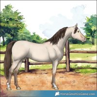 Horse Color:Amber Champagne Roan Dun