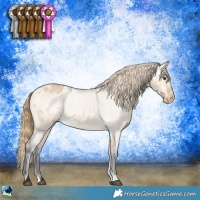 Horse Color:Buckskin Roan Dun Varnish 