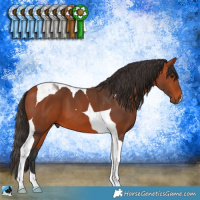 Horse Color:Bay Tobiano
