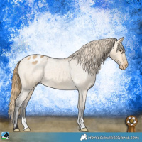 Horse Color:Buckskin Roan Dun Varnish 