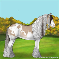 Horse Color:White Spotted Liver Red Dun Splash 