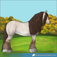 Horse Color:Liver Red Dun Roan 