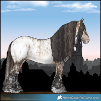 Horse Color:White Spotted Sable Champagne Dun Appaloosa and White Spotted Brown Dun Appaloosa