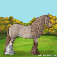 Horse Color:Liver Red Dun Roan Rabicano 