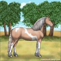 Horse Color:Silver Amber Champagne Tobiano