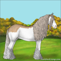 Horse Color:Chocolate Palomino Dun Splash Rabicano 