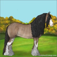 Horse Color:Liver Red Dun Sabino Rabicano 