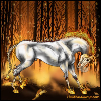 Horse Color:Gray Gold Champagne Chinchilla Onyx 