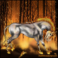 Horse Color:Platinum Classic Champagne Onyx