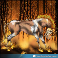 Horse Color:Gold Champagne Tobiano