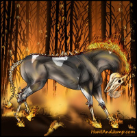 Horse Color:Blue Onyx Tobiano Rabicano 