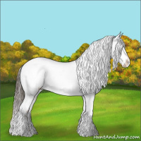 Horse Color:Liver Red Dun Tobiano Appaloosa Rabicano