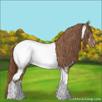 Horse Color:Liver Red Dun Tobiano Near Fewspot Rabicano 