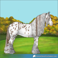 Horse Color:Liver Red Dun Tobiano Near Leopard Rabicano 