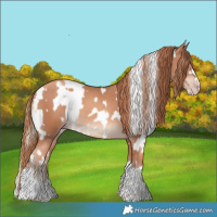 Horse Color:Chocolate Palomino Dun Tobiano Fewspot  and Gold Champagne Tobiano Rabicano 