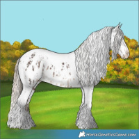 Horse Color:Liver Chestnut Tobiano Appaloosa Rabicano  and Chocolate Palomino Dun Tobiano Appaloosa 