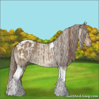 Horse Color:Liver Red Dun Tobiano  and Chocolate Palomino Dun Tobiano Blanket Rabicano 