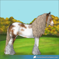Horse Color:Chocolate Palomino Tobiano Frame 