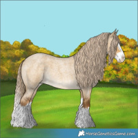 Horse Color:Chocolate Palomino Roan Dun Splash 
