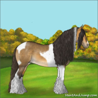 Horse Color:Buckskin Dun Tobiano 