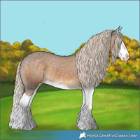Horse Color:Chocolate Palomino Splash Appaloosa