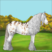 Horse Color:White Spotted Liver Red Onyx Appaloosa 
