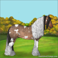 Horse Color:White Spotted Bay Dun Tobiano Rabicano 