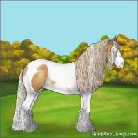 Horse Color:Chocolate Palomino Dun Splash Tobiano 