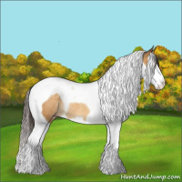 Horse Color:Sable Cream Champagne Splash Tobiano Rabicano 