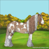 Horse Color:White Spotted Liver Red Dun Splash Varnish