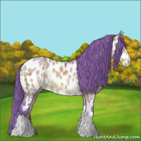 Horse Color:Watercolor Bay Ice Dun Appaloosa 
