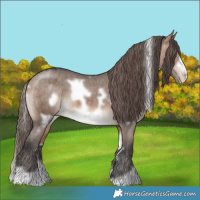Horse Color:White Spotted Bay Dun Frame Appaloosa Brindle 