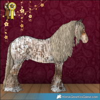 Horse Color:Liver Red Dun Varnish Brindle  and White Spotted Chocolate Palomino Roan Blanket 