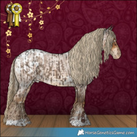 Horse Color:Liver Red Dun Varnish Brindle  and White Spotted Chocolate Palomino Roan Blanket 