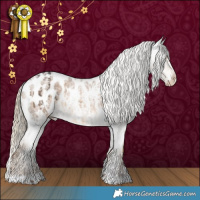 Horse Color:Liver Red Dun Appaloosa Brindle and White Spotted Chocolate Palomino Roan Appaloosa