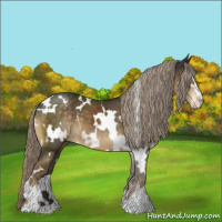 Horse Color:White Spotted Chocolate Palomino Sabino
