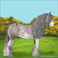 Horse Color:Liver Chestnut Sabino Varnish 