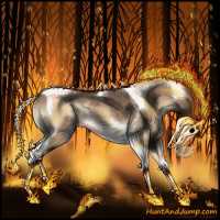 Horse Color:Brown Onyx Tobiano Appaloosa